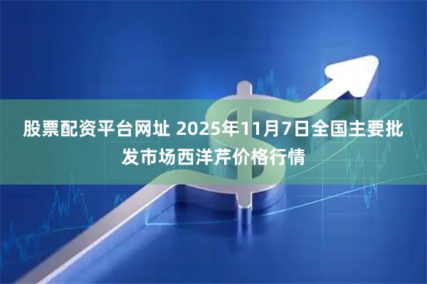 股票配资平台网址 2025年11月7日全国主要批发市场西洋芹价格行情