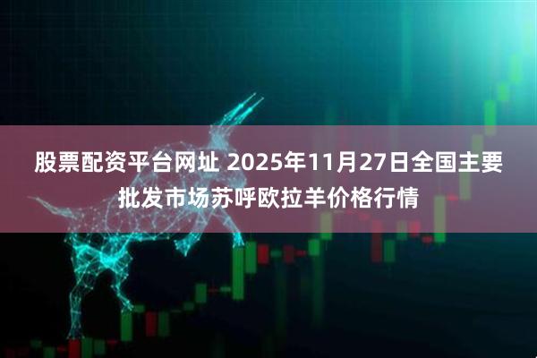 股票配资平台网址 2025年11月27日全国主要批发市场苏呼欧拉羊价格行情