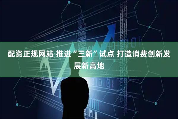 配资正规网站 推进“三新”试点 打造消费创新发展新高地