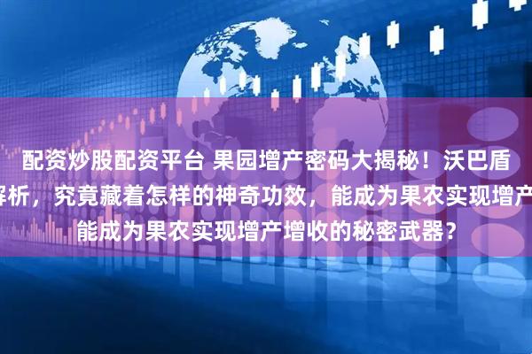 配资炒股配资平台 果园增产密码大揭秘！沃巴盾保花保果系列全解析，究竟藏着怎样的神奇功效，能成为果农实现增产增收的秘密武器？